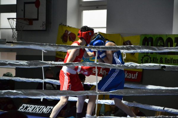 2026_Boxen_Insel Cup_ (18)