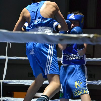 2026_Boxen_Insel Cup_ (34)