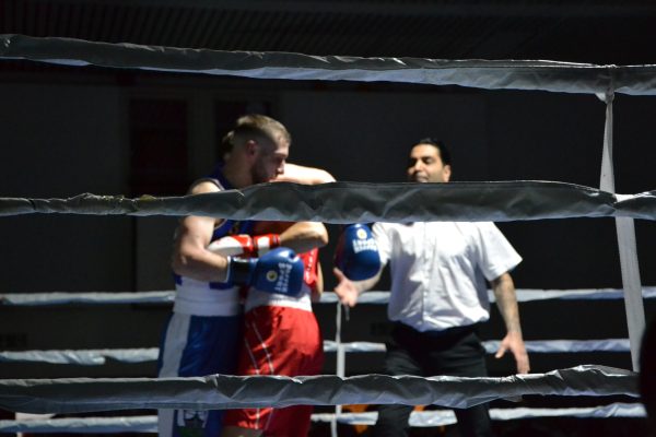 2026_Boxen_Insel Cup_ (37)