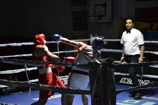 2026_Boxen_Insel Cup_ (53)