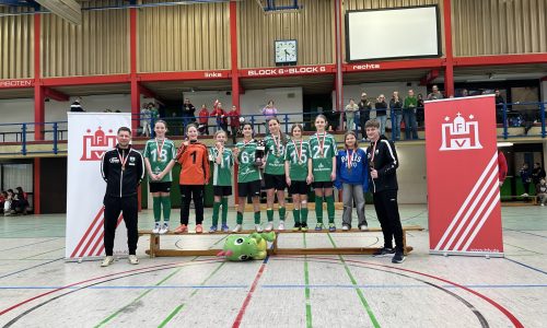 2026_Fußball_Hallenmeisterschaft D-Juniorinnen (3)