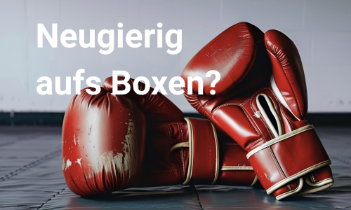 Boxen Schnuppertag Mädchen