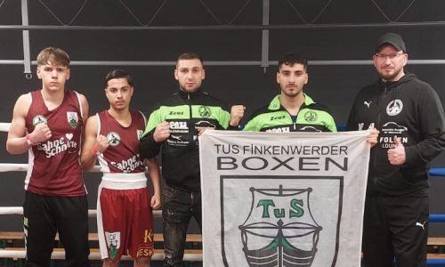 Boxen_Stade 2026 (2)