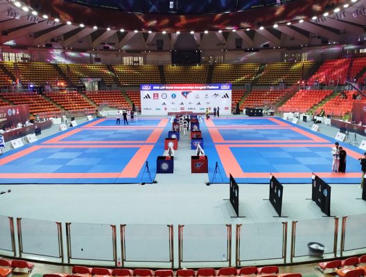 Ju-Jutsu_WM 2025 (2)