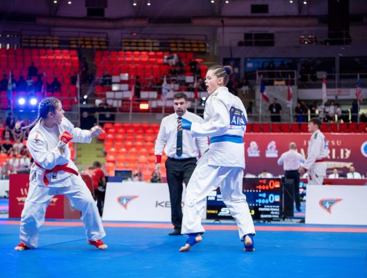 Ju-Jutsu_WM 2025_Foto von DJJV (4)