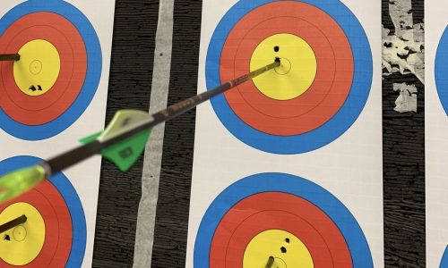 Zielscheiben vom Bogenschießen. Die Zielscheiben haben Löcher und in einer Zielscheibe steckt ein Pfeil.