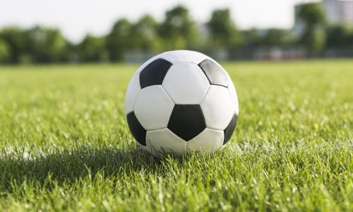 fussball-im-grunen-gras